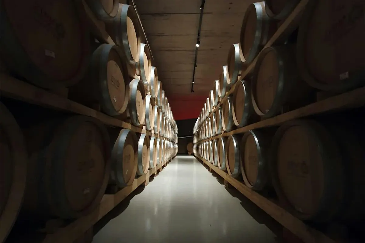 Rows of oak barrels aging in a long cellar aisle